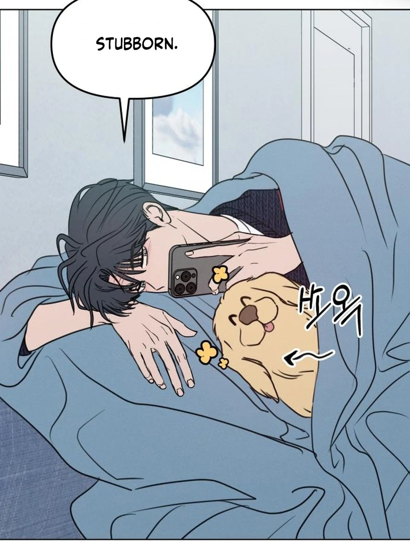 Read I Want To Be Fooled Manga Online