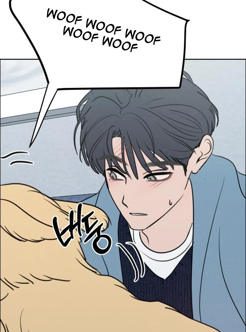 Read I Want To Be Fooled Manga Online