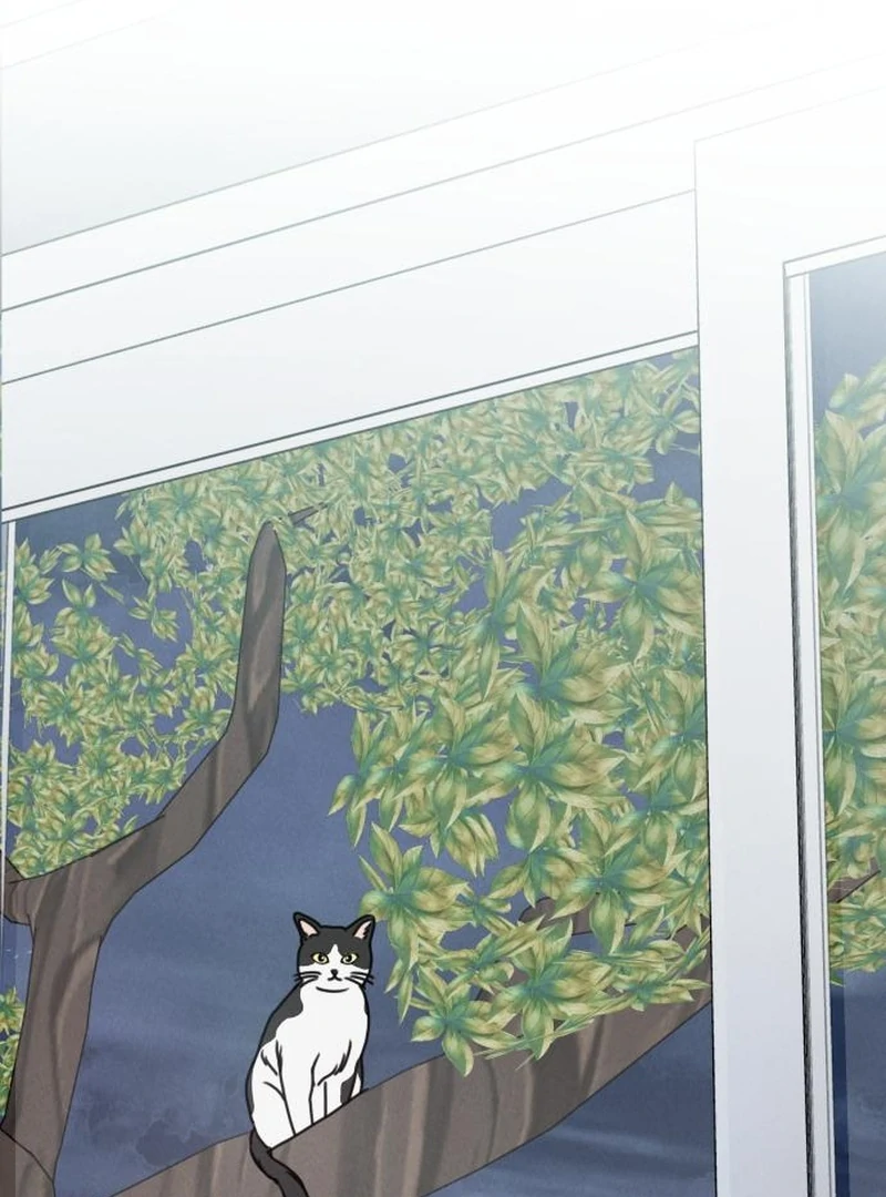 Read I Want To Be Fooled Manga Online