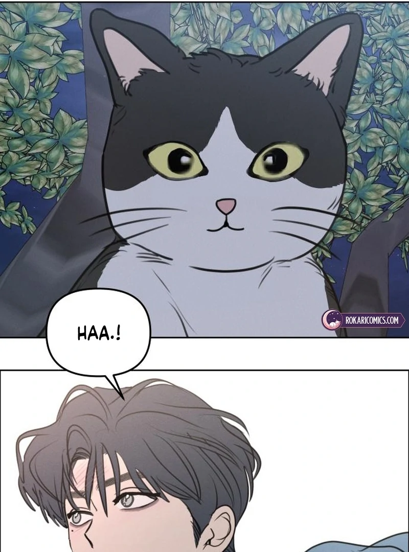 Read I Want To Be Fooled Manga Online