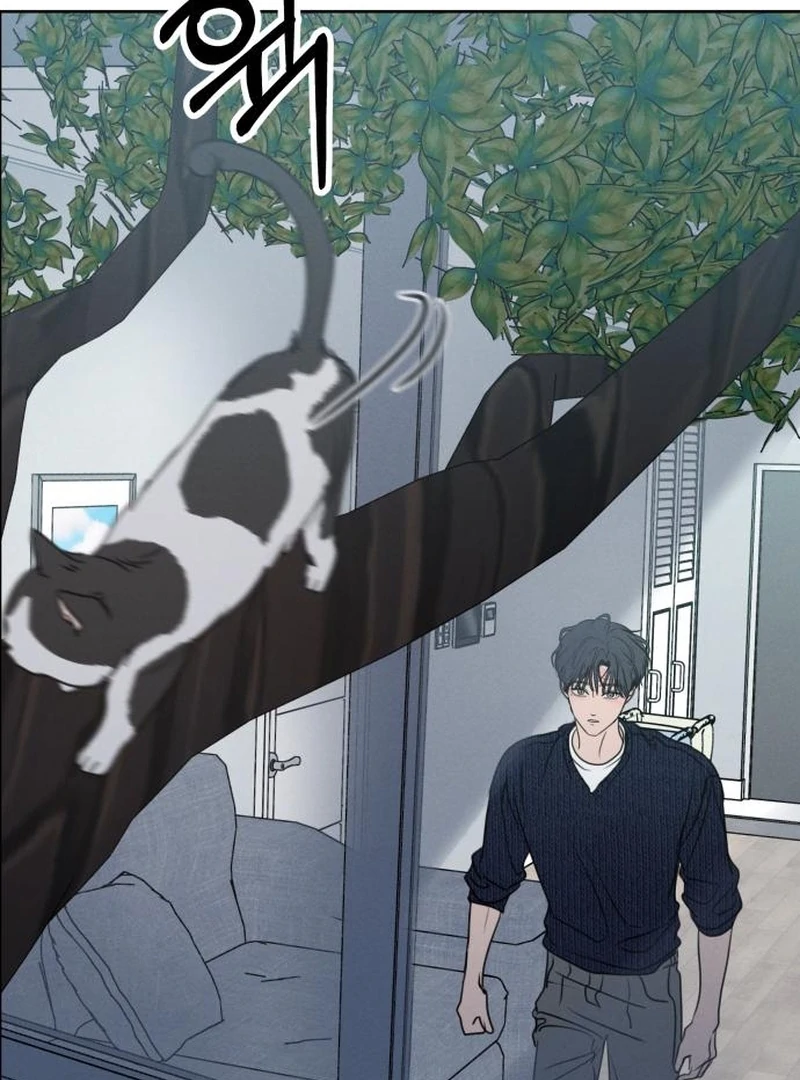 Read I Want To Be Fooled Manga Online