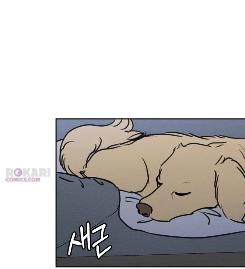 Read I Want To Be Fooled Manga Online