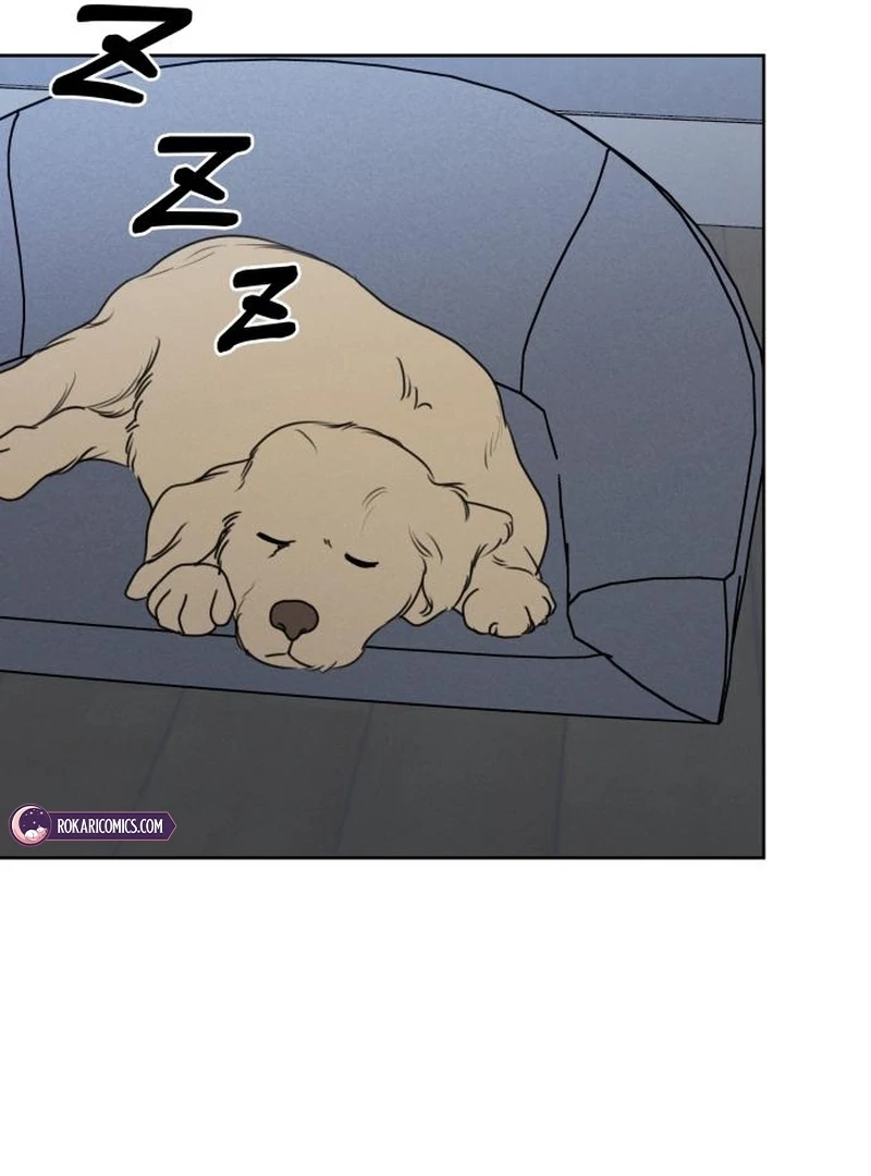 Read I Want To Be Fooled Manga Online