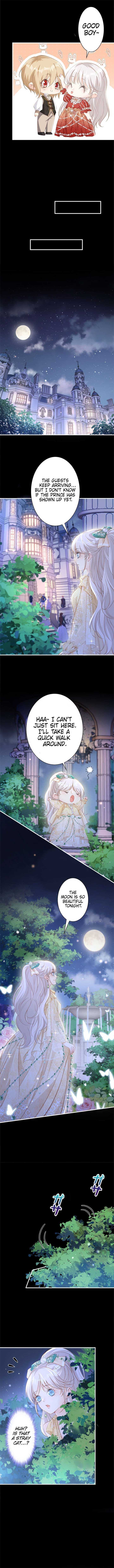 Read I wish to annul the engagement Manga Online