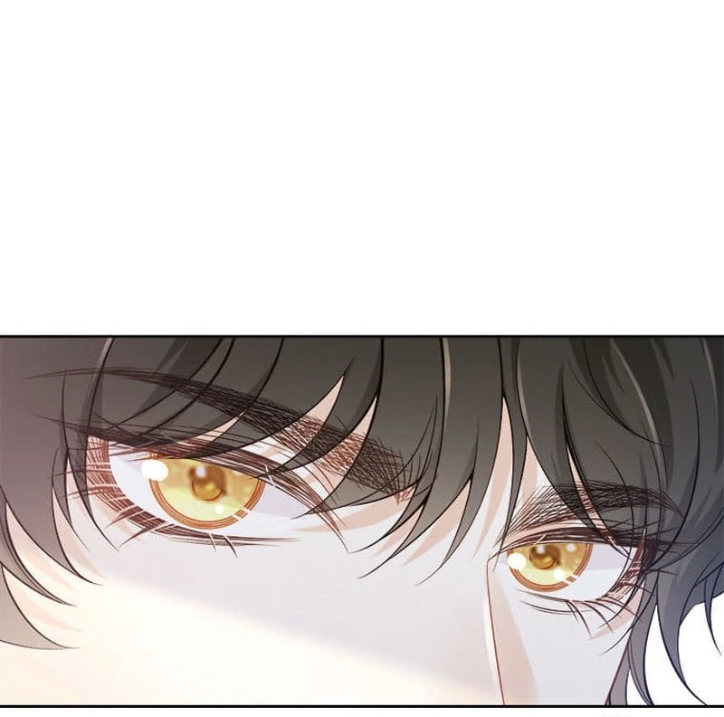 Read I wish to annul the engagement Manga Online