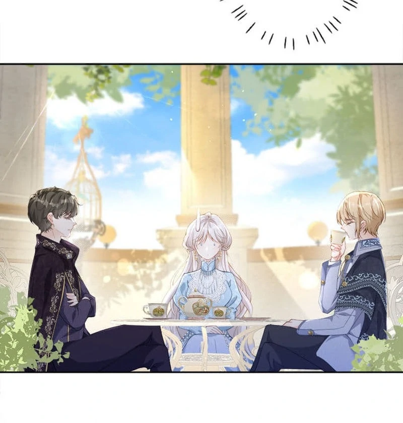 Read I wish to annul the engagement Manga Online