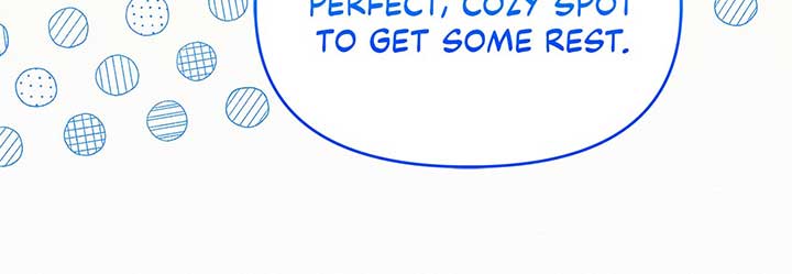 Read I’ve Probably Made a Mistake in Getting Married Manga Online