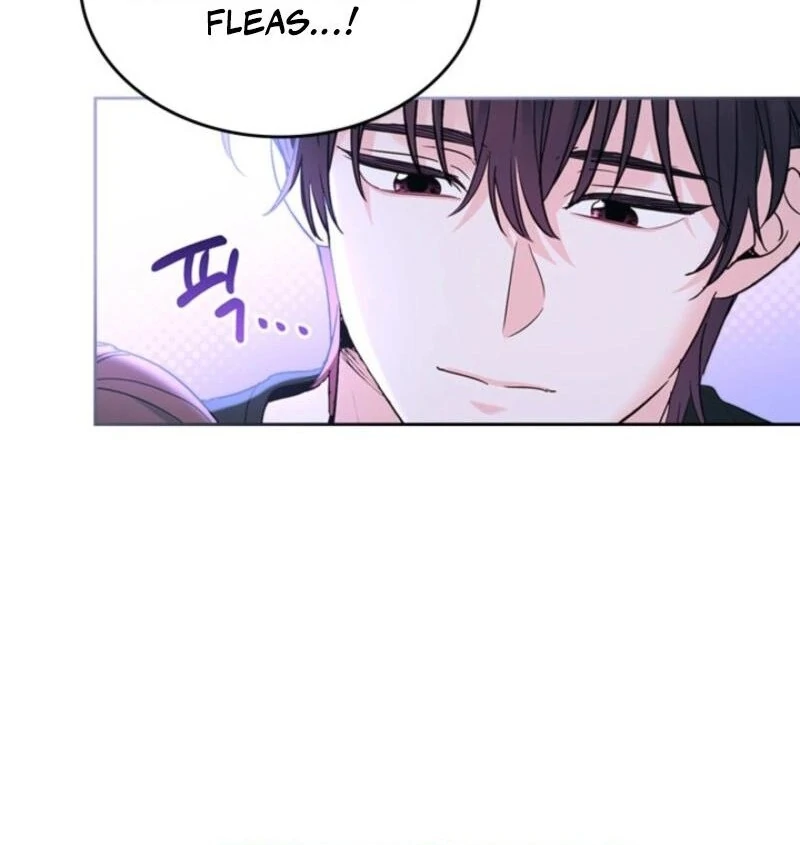 Read Inso's Law Manga Online