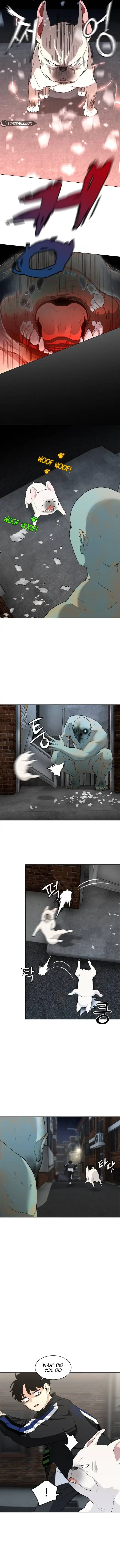 Read Jakdu Manga Online