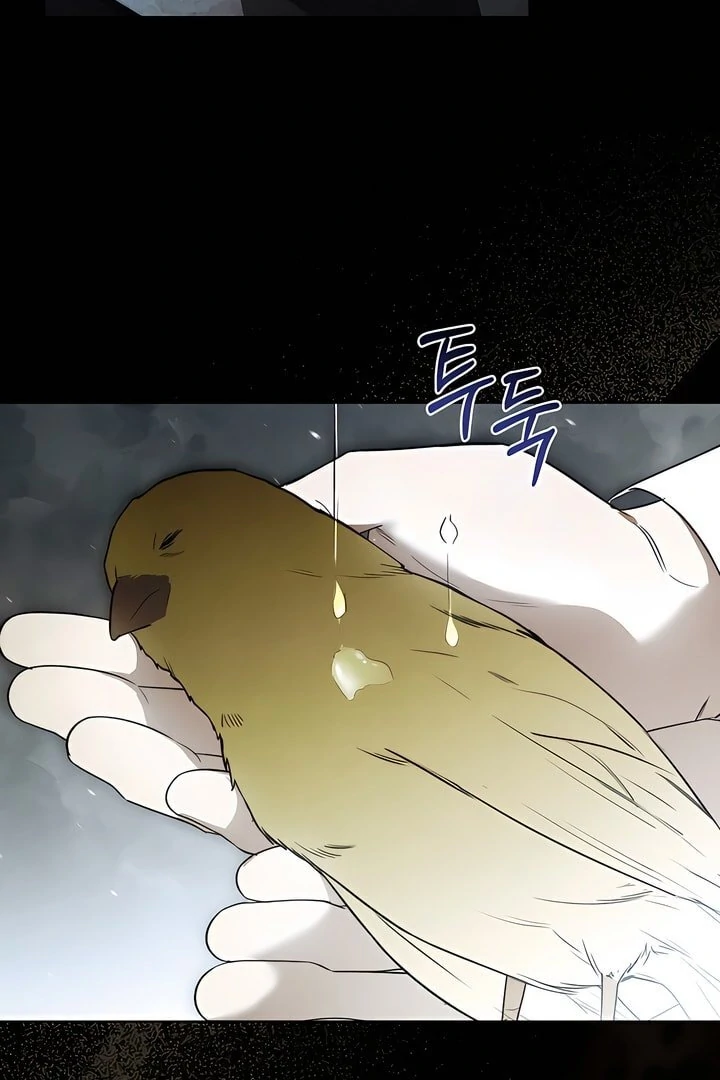 Read Kiss Me If You Can Manga Online