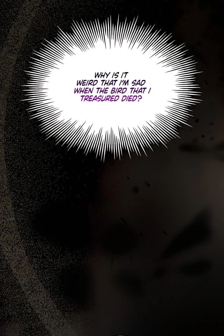 Read Kiss Me If You Can Manga Online