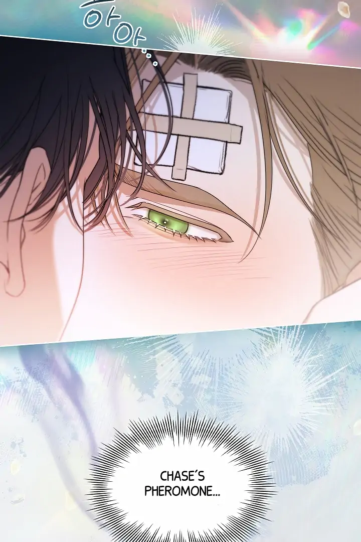 Read Kiss Me If You Can Manga Online