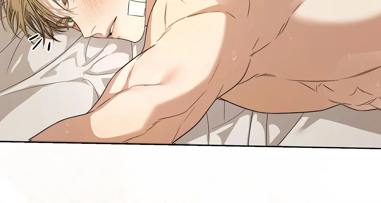 Read Kiss Me If You Can Manga Online