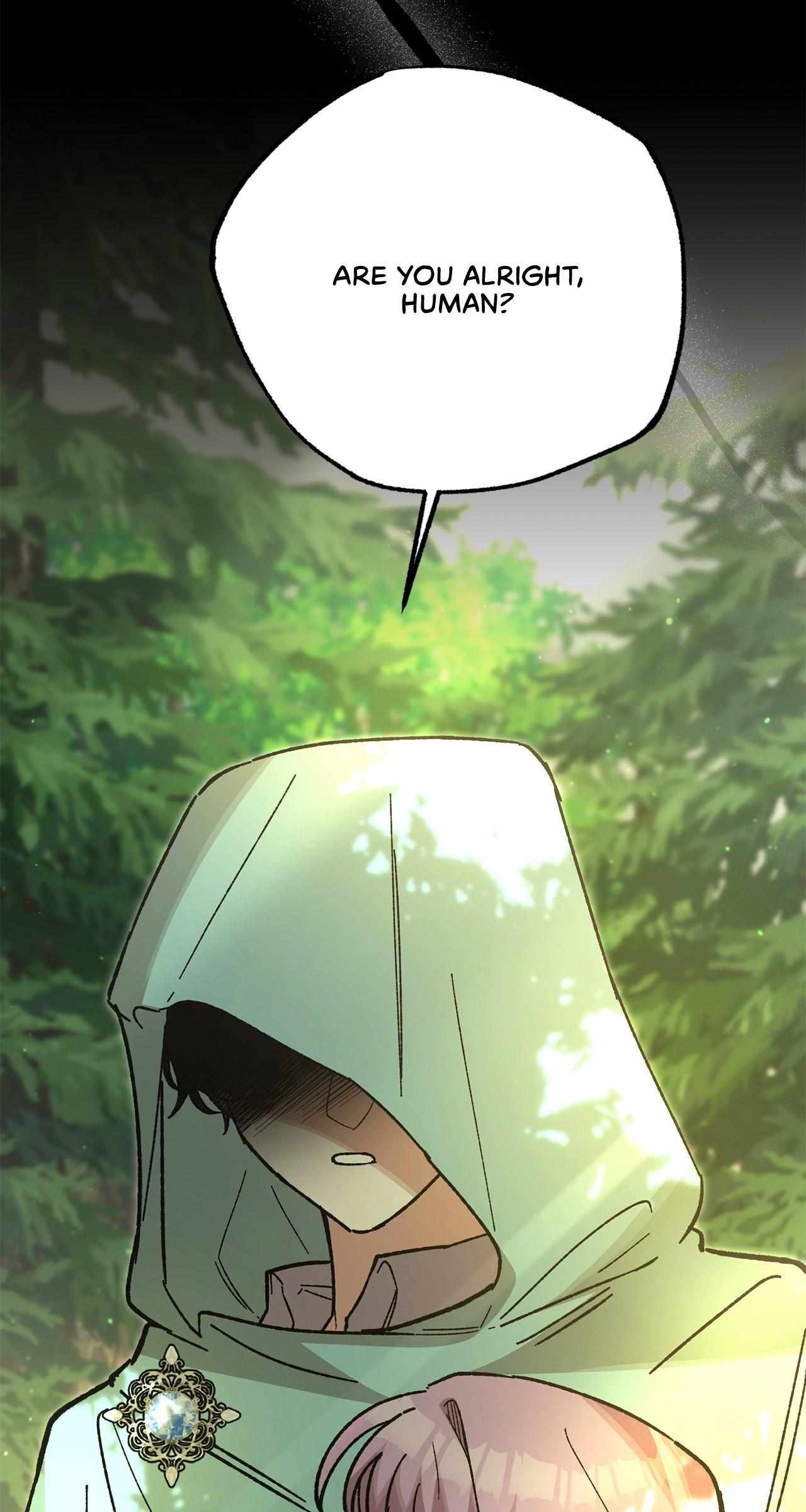 Read Let Me Kidnap the Male Lead! Manga Online