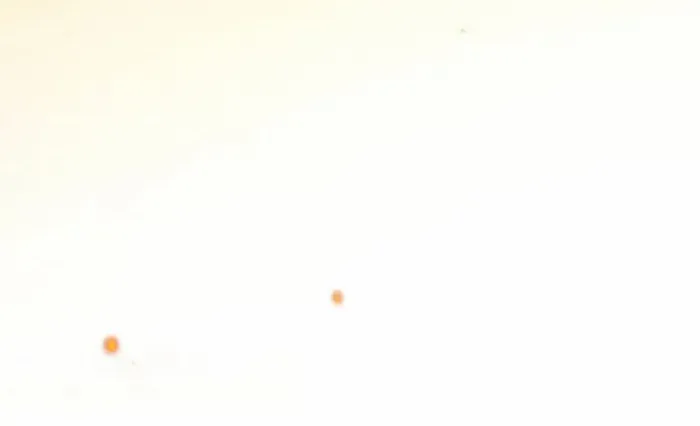 Read Limitless Ascension Strength Amid Adversity Manga Online