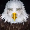 Read Lord Of Money Manga Online