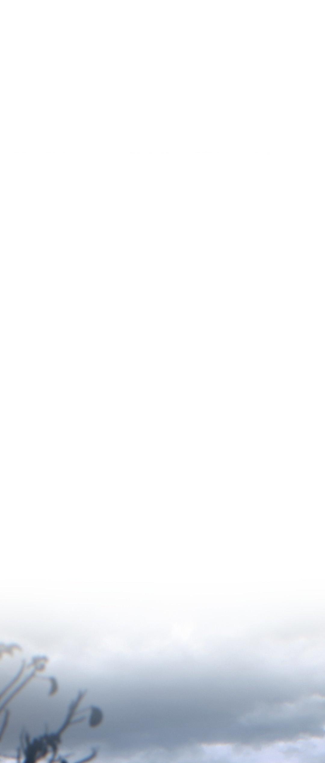 Read Lost in the Cloud Manga Online