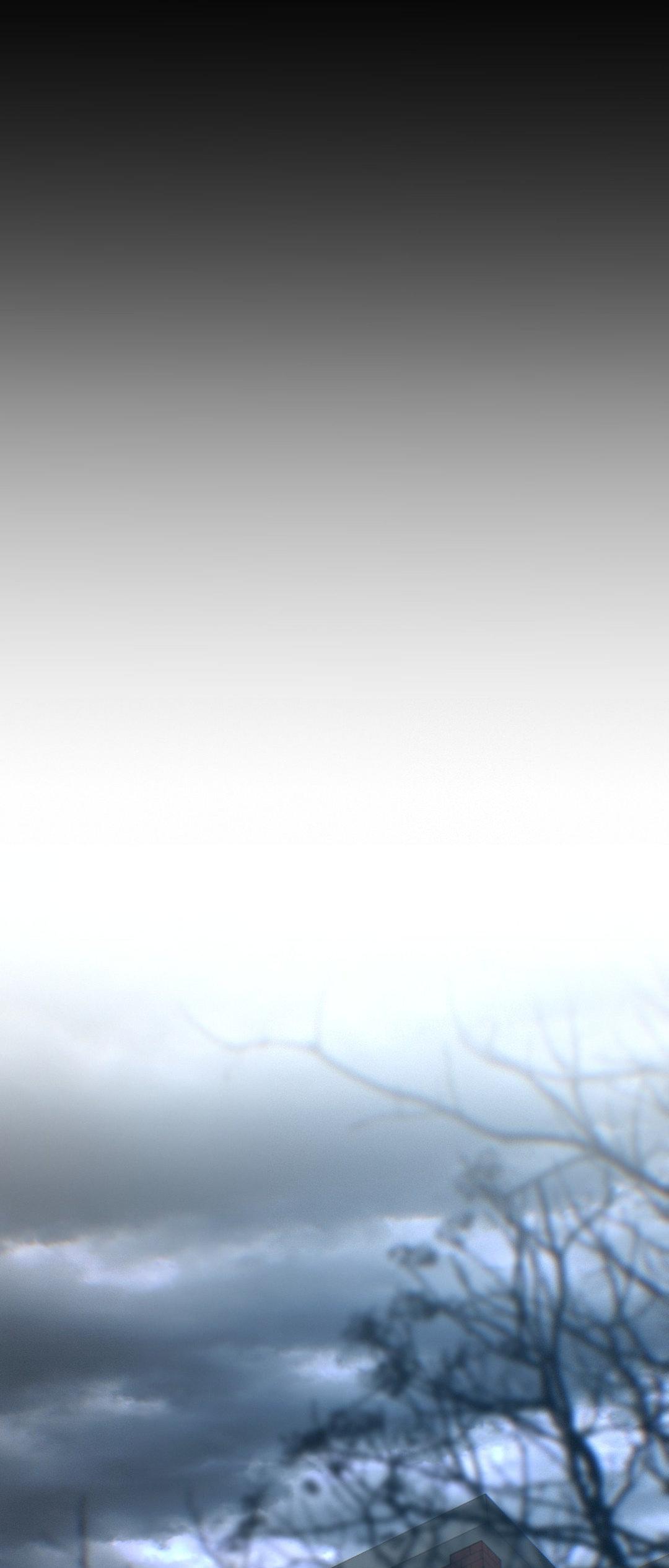 Read Lost in the Cloud Manga Online