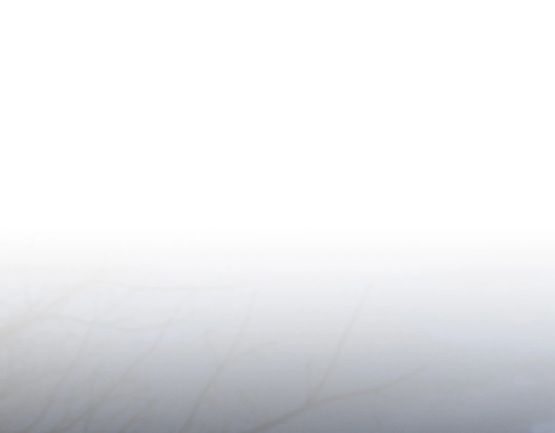 Read Lost in the Cloud Manga Online