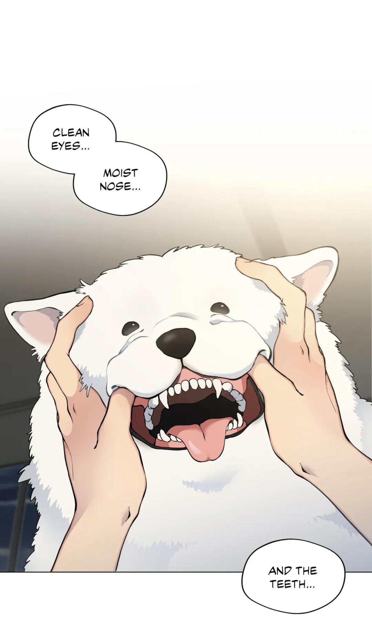 Read Lost in the Cloud Manga Online