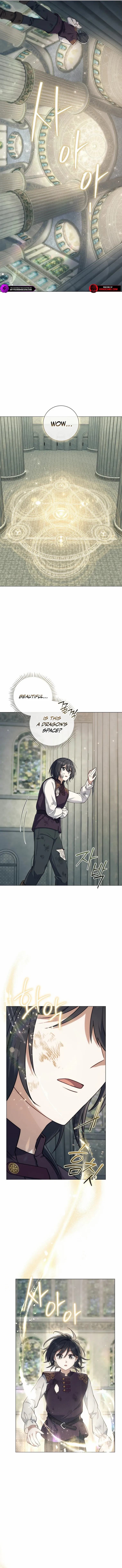 Read Magic Lord Manga Online