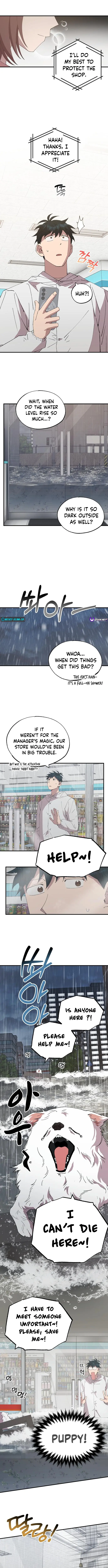 Read Magical Realm Shopkeeper Manga Online