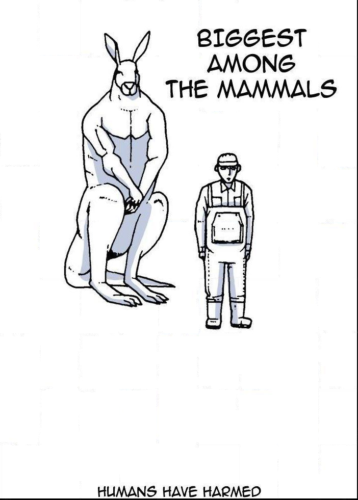 Read Moon You Manga Online