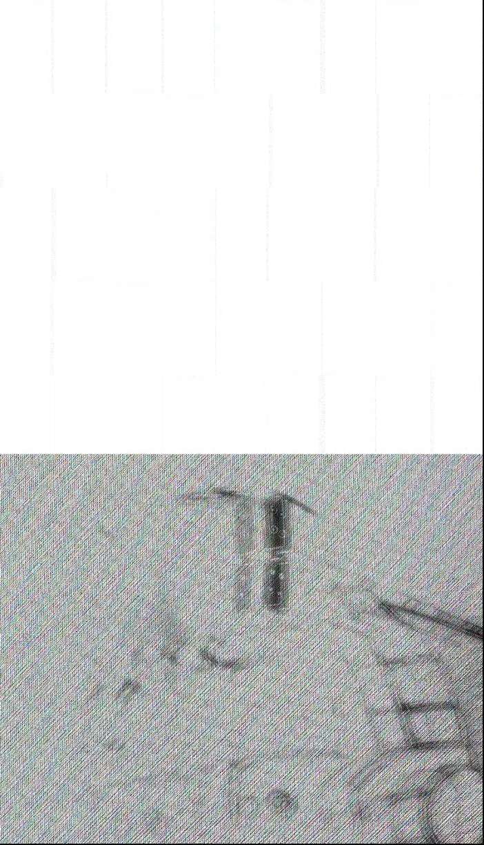 Read Moon You Manga Online