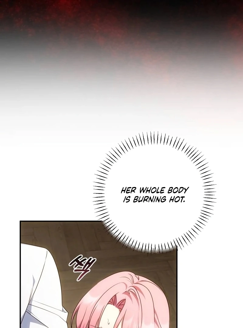 Read My Husband Was Stolen Twice Manga Online
