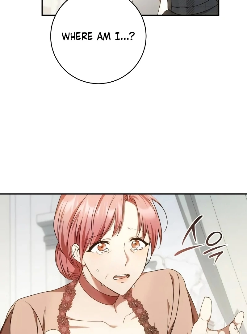 Read My Husband Was Stolen Twice Manga Online