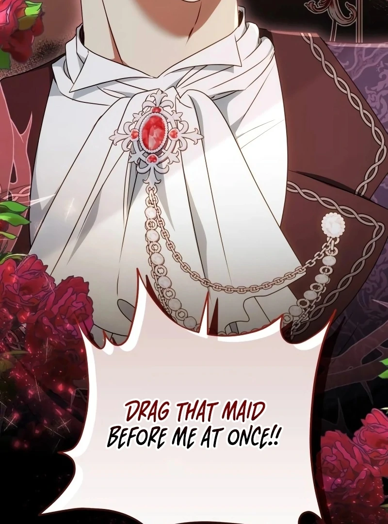 Read My Husband Was Stolen Twice Manga Online