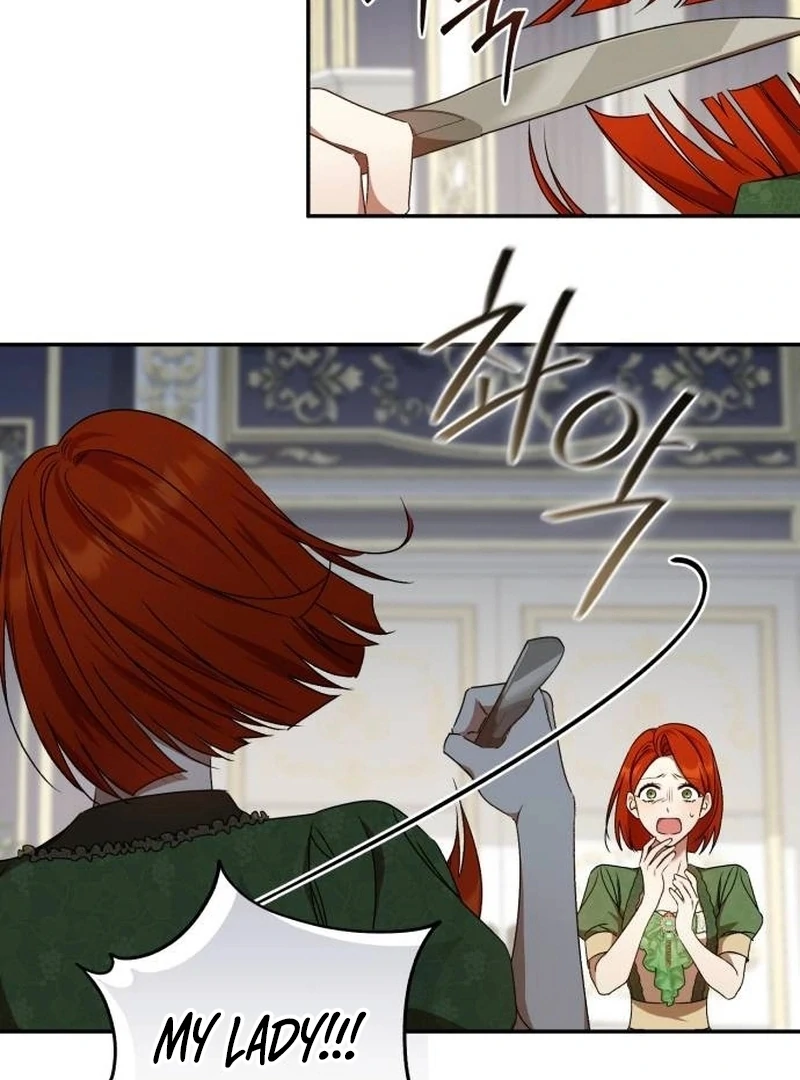 Read My Husband Was Stolen Twice Manga Online