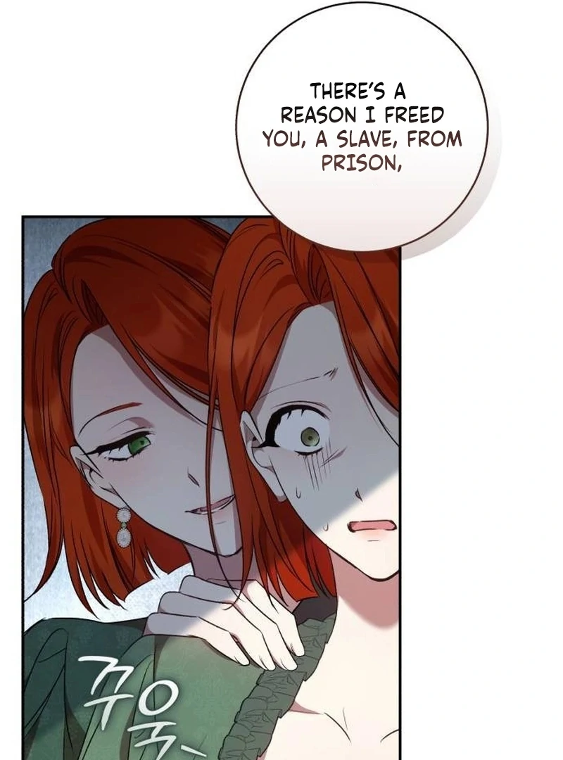 Read My Husband Was Stolen Twice Manga Online