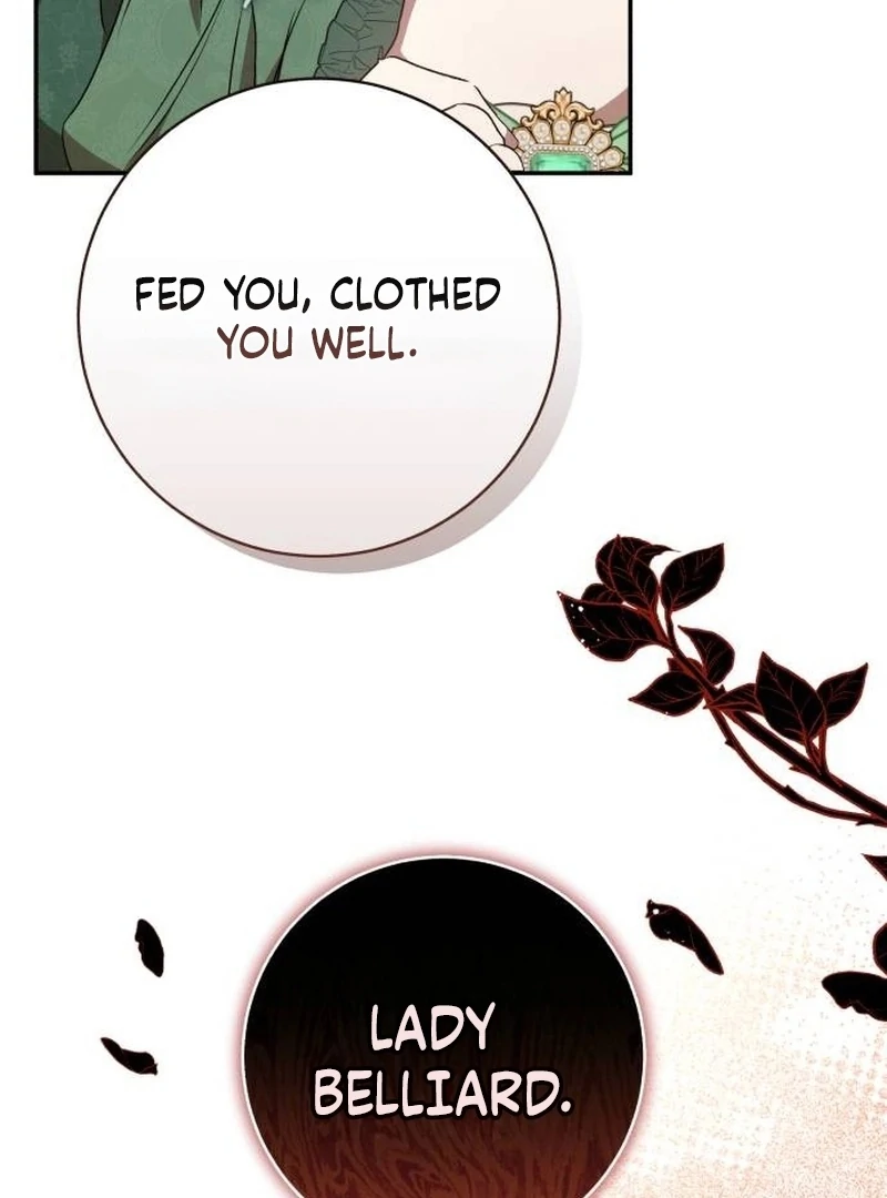Read My Husband Was Stolen Twice Manga Online