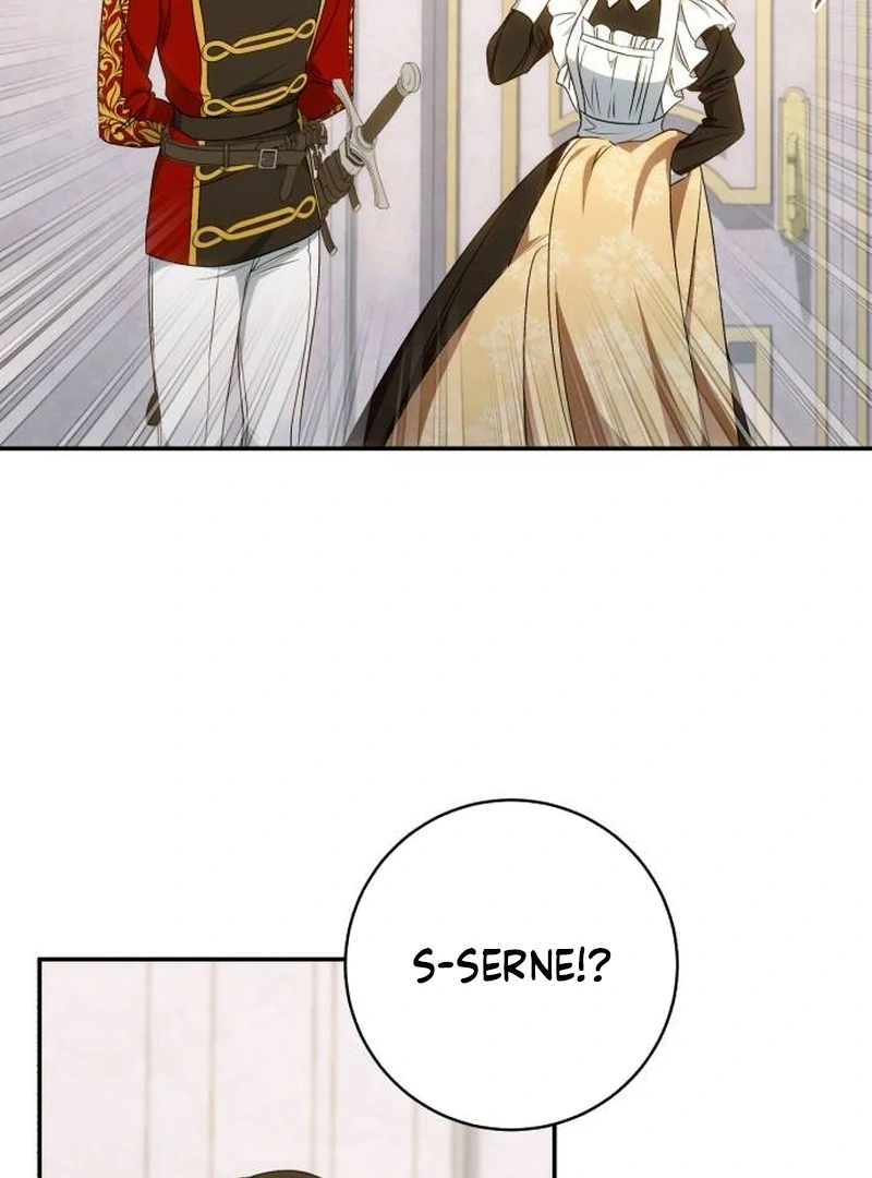 Read My Husband Was Stolen Twice Manga Online