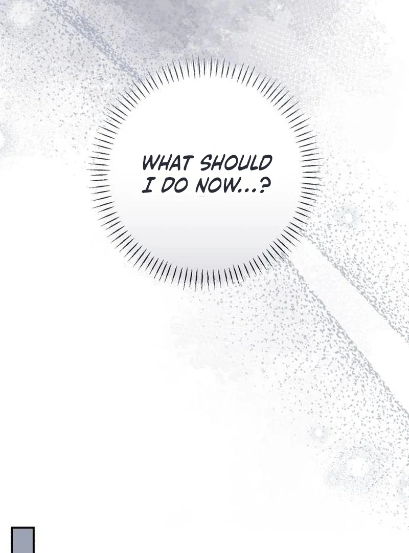Read My Husband Was Stolen Twice Manga Online