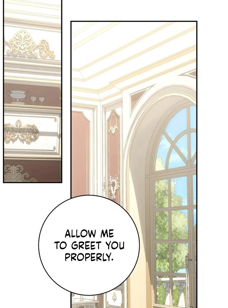 Read My Husband Was Stolen Twice Manga Online
