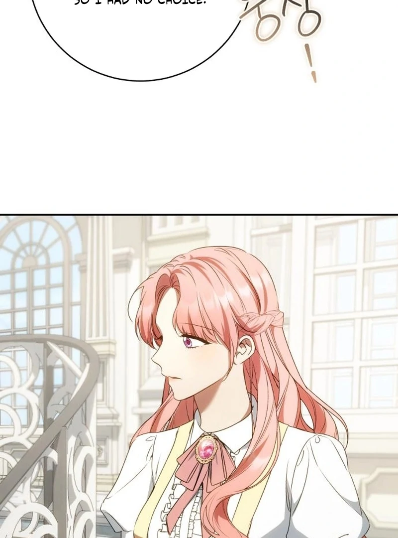 Read My Husband Was Stolen Twice Manga Online