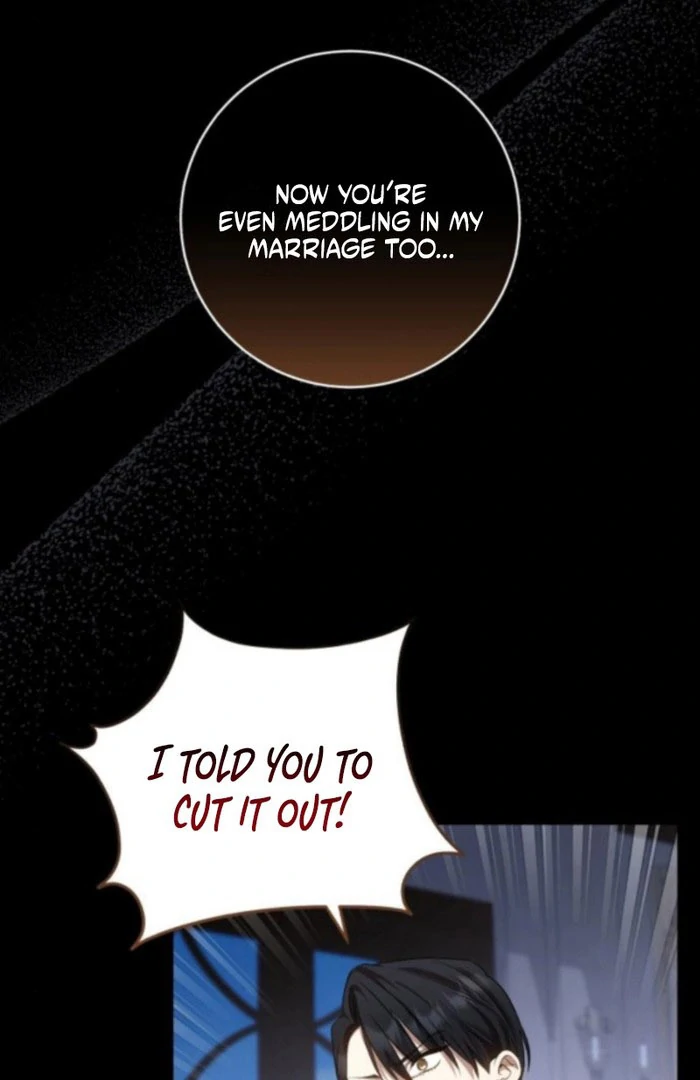 Read My Husband Was Stolen Twice Manga Online
