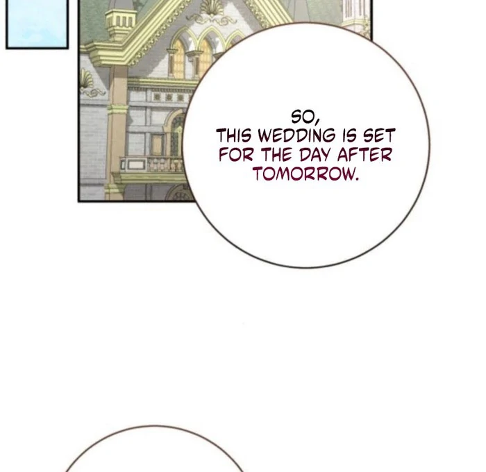 Read My Husband Was Stolen Twice Manga Online