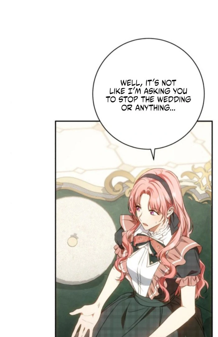 Read My Husband Was Stolen Twice Manga Online