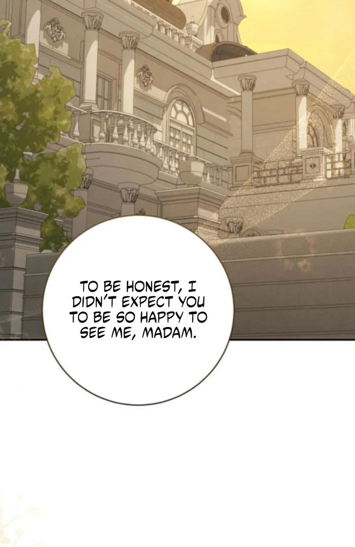 Read My Husband Was Stolen Twice Manga Online