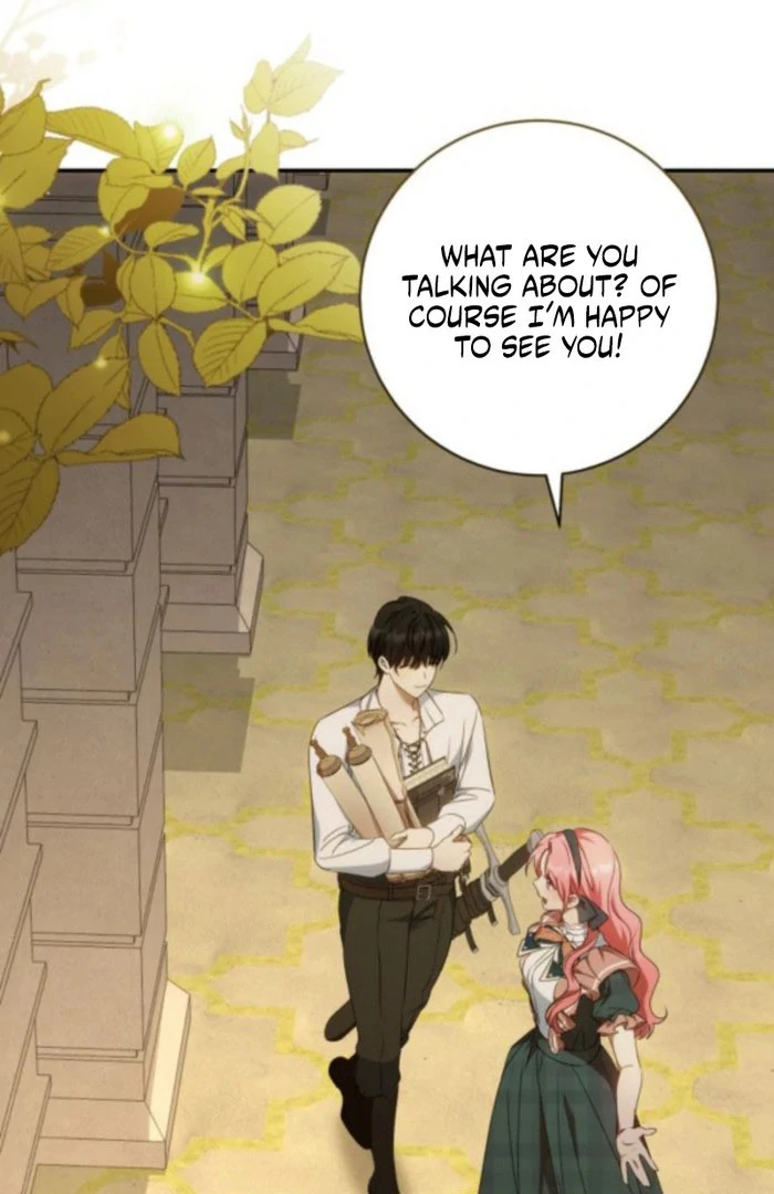 Read My Husband Was Stolen Twice Manga Online