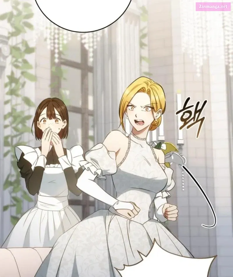 Read My Husband Was Stolen Twice Manga Online