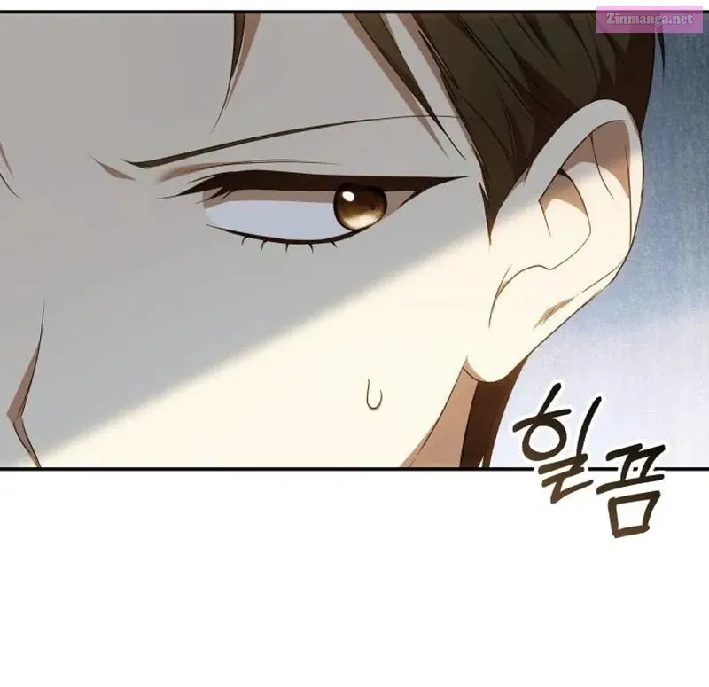 Read My Husband Was Stolen Twice Manga Online