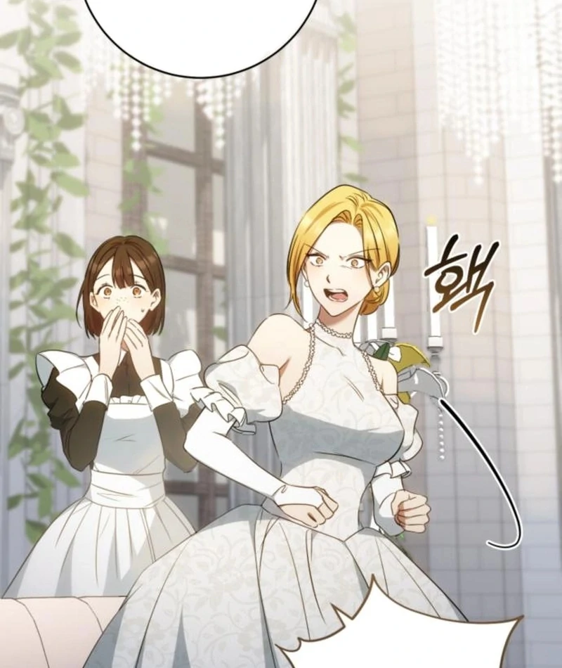 Read My Husband Was Stolen Twice Manga Online