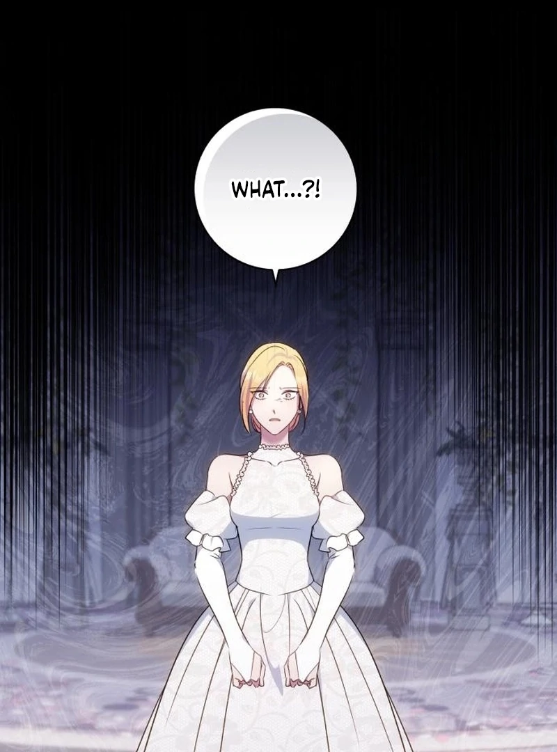 Read My Husband Was Stolen Twice Manga Online