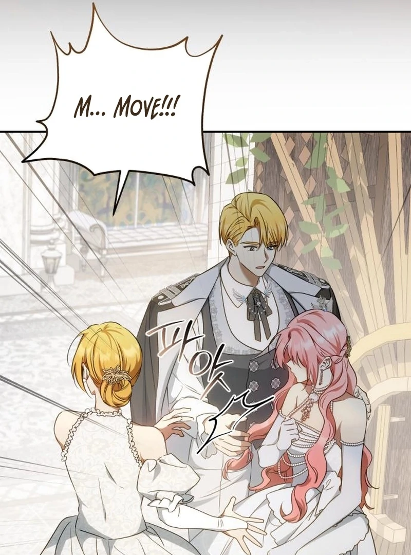 Read My Husband Was Stolen Twice Manga Online