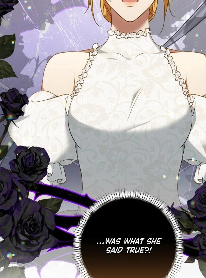 Read My Husband Was Stolen Twice Manga Online