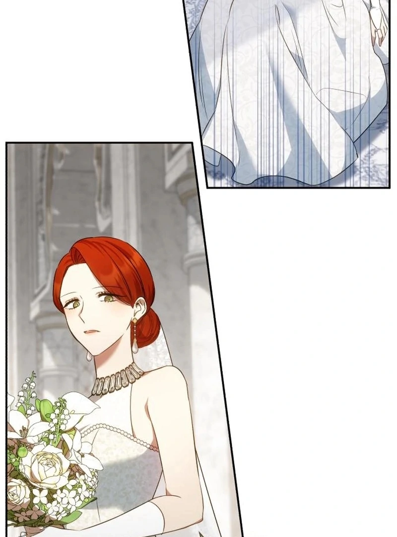 Read My Husband Was Stolen Twice Manga Online